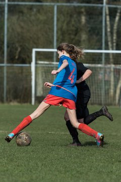 Bild 231 - C-Juniorinnen SV Steinhorst/Labenz - TSV Friedrichsberg-Busdorf : Ergebnis: 5:0